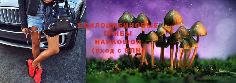 Псилоцибиновые грибы Psilocybine cubensis  что такое наркотик  сайты даркнета формула  Мосальск 